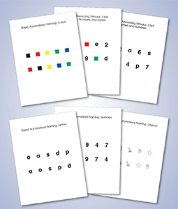 RAN/RAS Card Pack (set of 6)